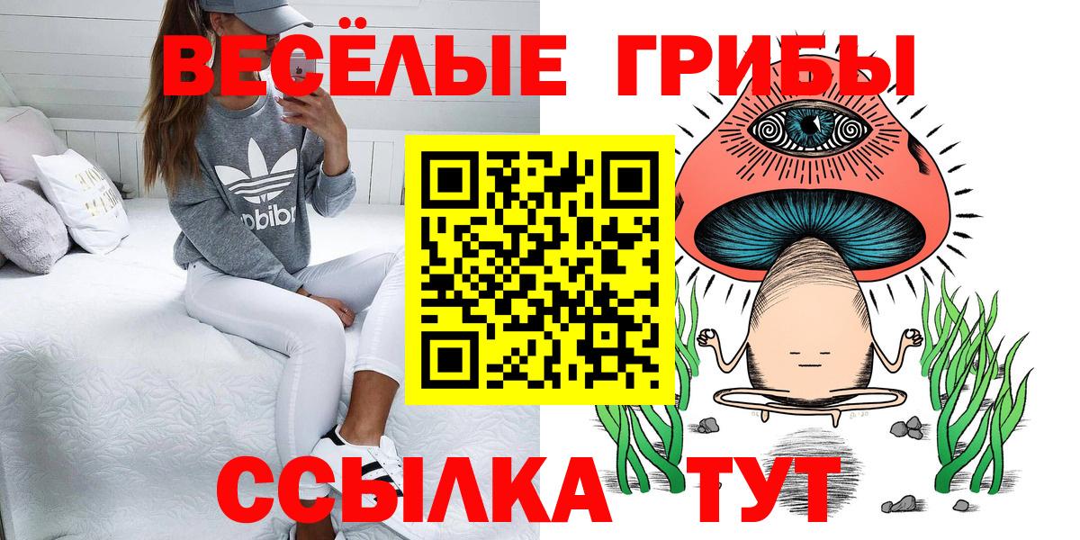 Галлюциногенные грибы Psilocybe Волгоград