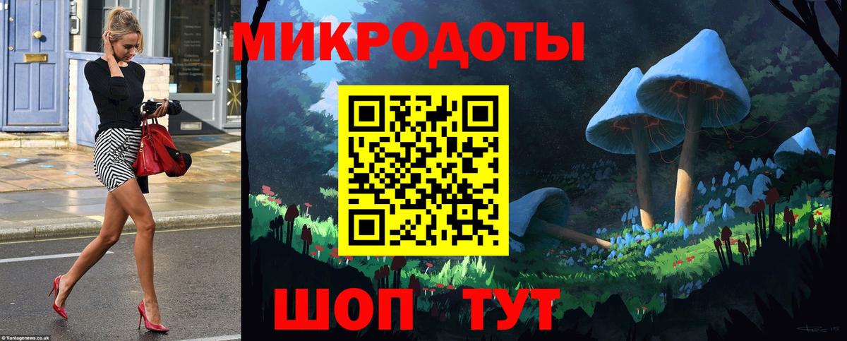 Волгоград  Галлюциногенные грибы Psilocybe  Вход с VPN 